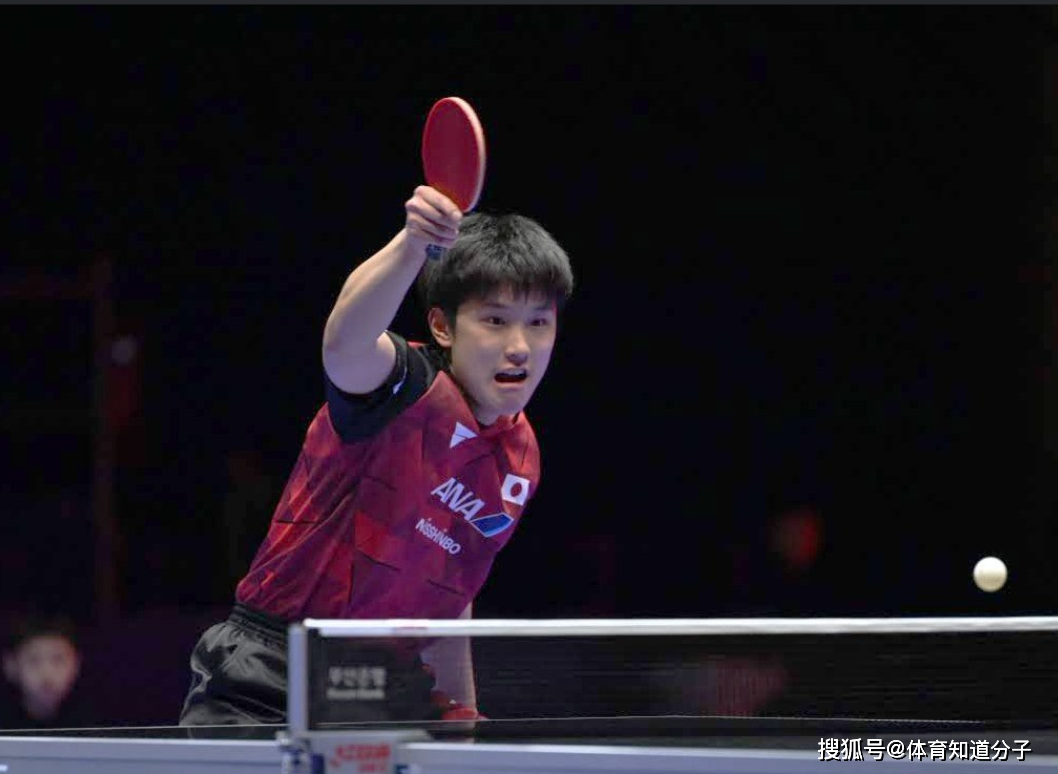 九游VIP-法国乒乓球队险胜中国乒乓球队，张本智和制霸全场的简单介绍