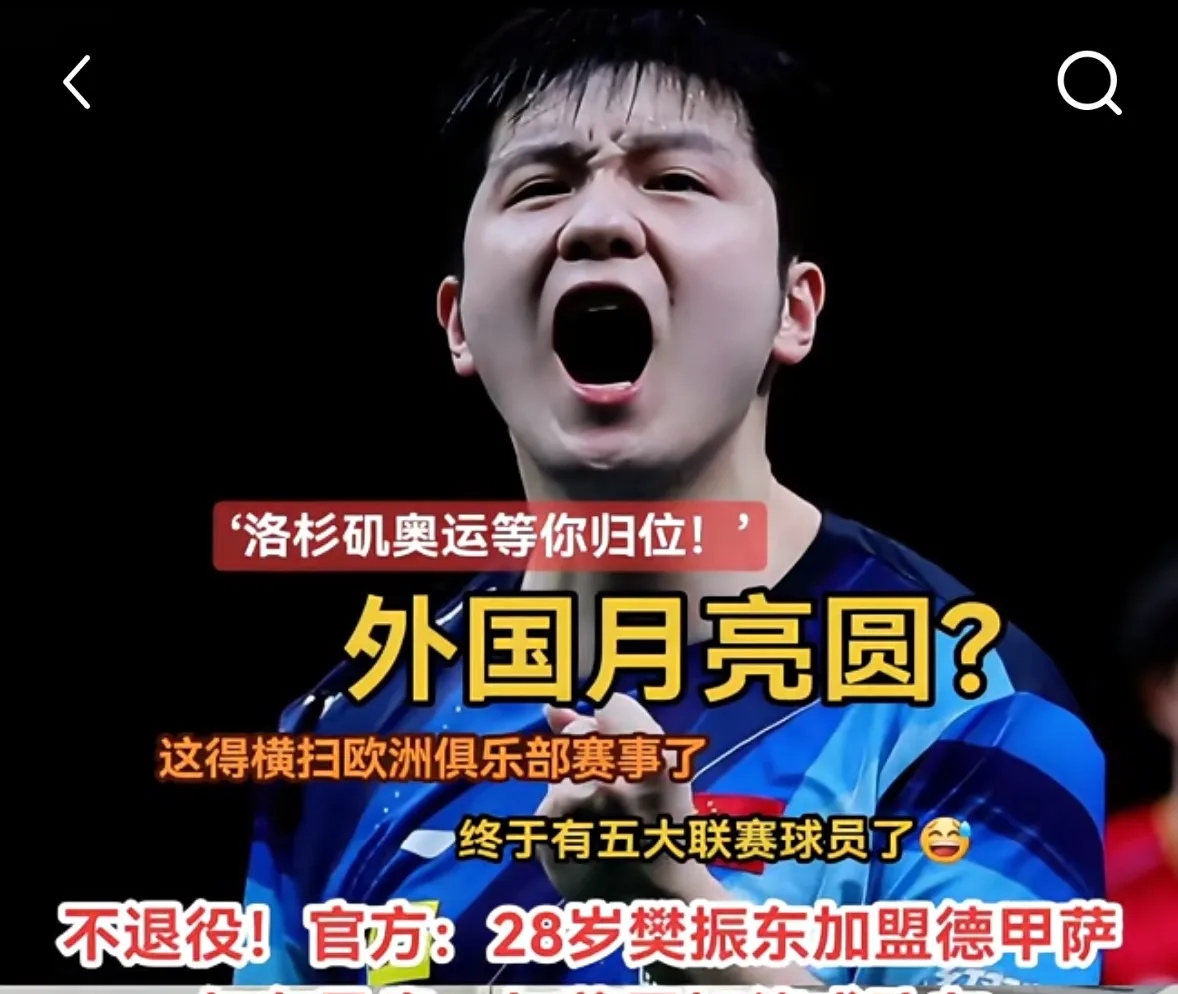 关于德国队逆转波兰队,樊振东点燃赛场的信息 关于德国队逆转波兰队,樊振东点燃赛场的信息