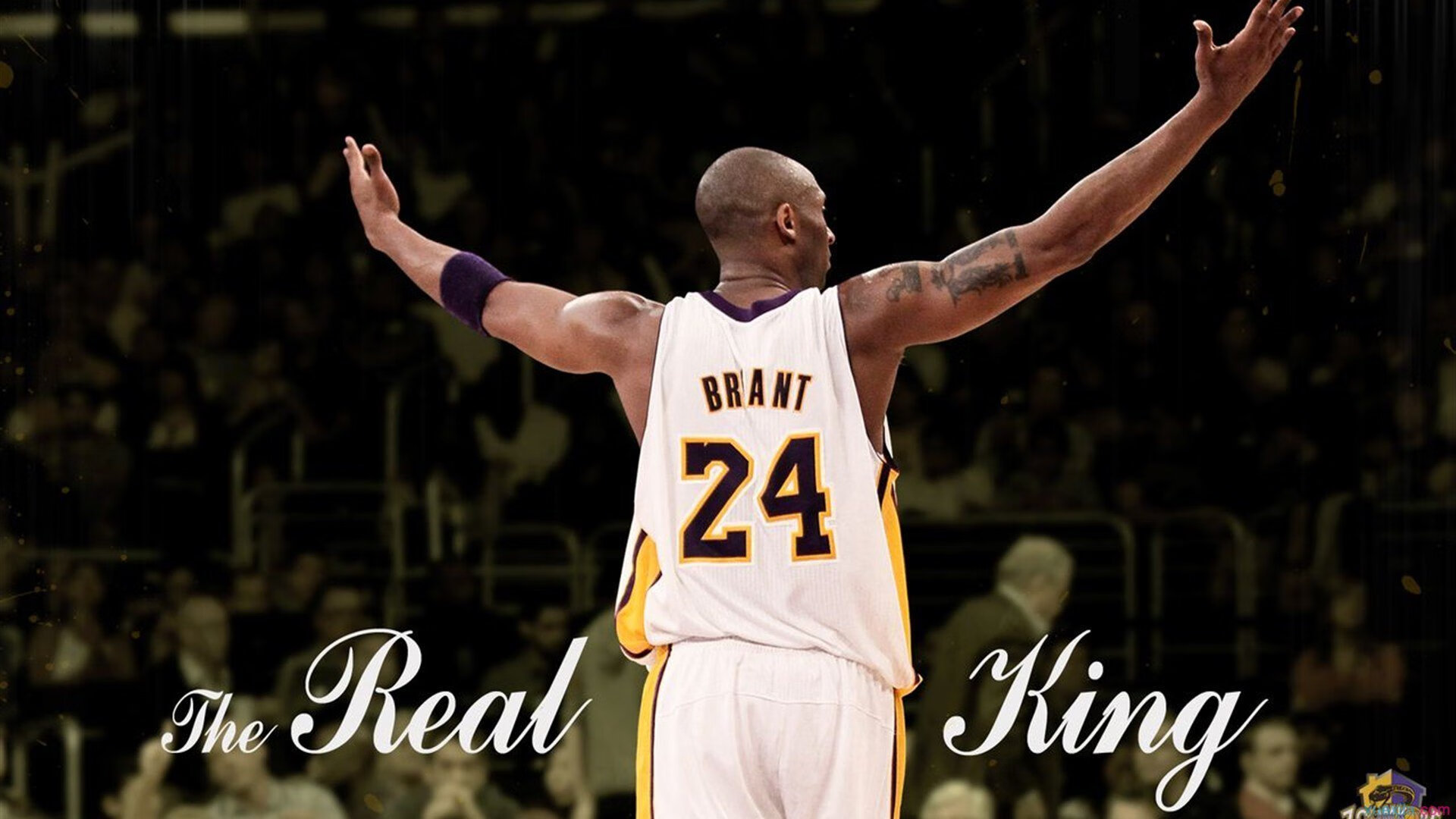 九游娱乐网页-布伦森，灰熊与太阳之间的隐形胜负手